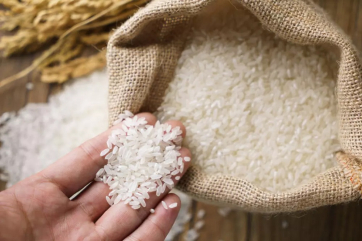 Минсельхоз предложил продлить запрет на экспорт риса